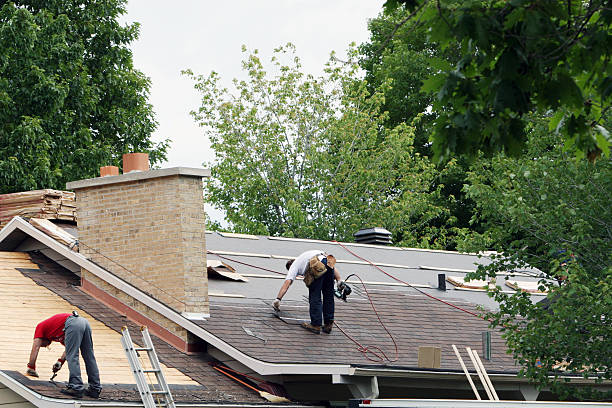 Best Roof Repair Services  in Monongah, WV
