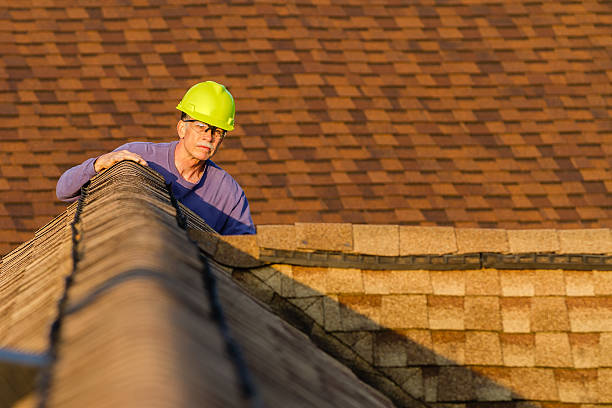 Best Roof Maintenance Services  in Monongah, WV