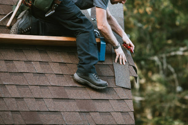 Best Roof Leak Repair  in Monongah, WV